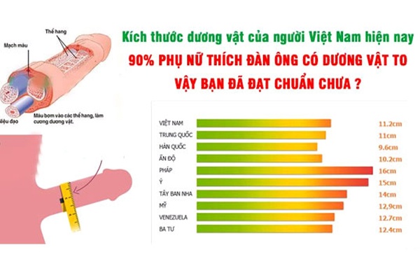 Kích thước dương vật đàn ông Việt so với đàn ông các nước